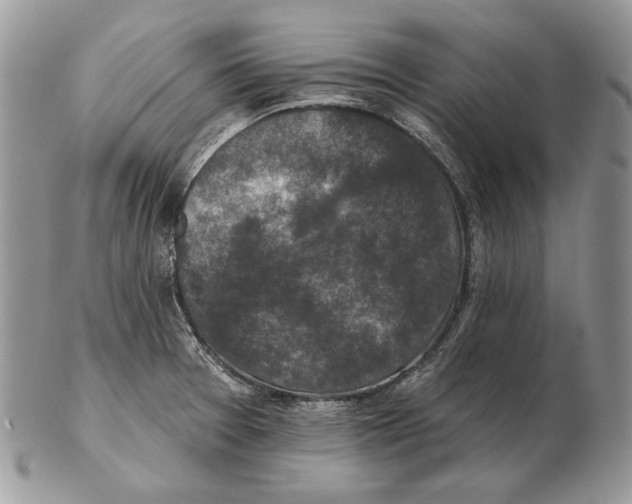 X0000102401377200808221838