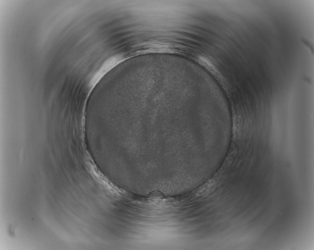 X0000102401378200808221838