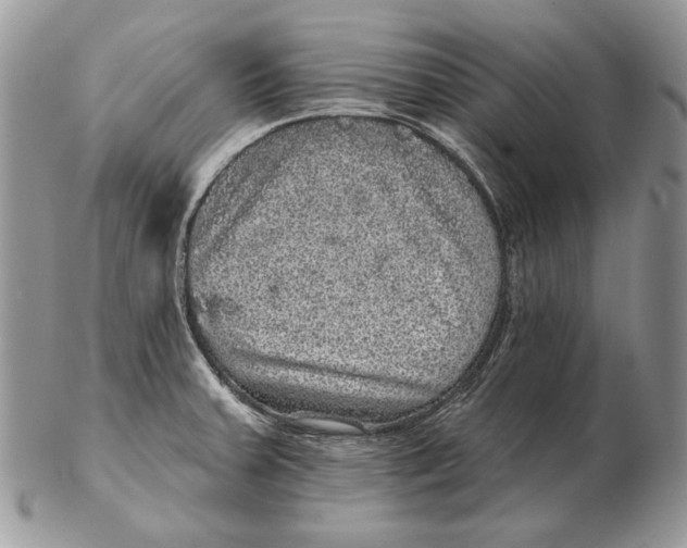 X0000102401379200808221838