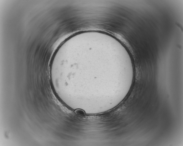 X0000102401380200808221838