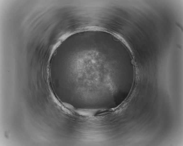 X0000102401381200808221838