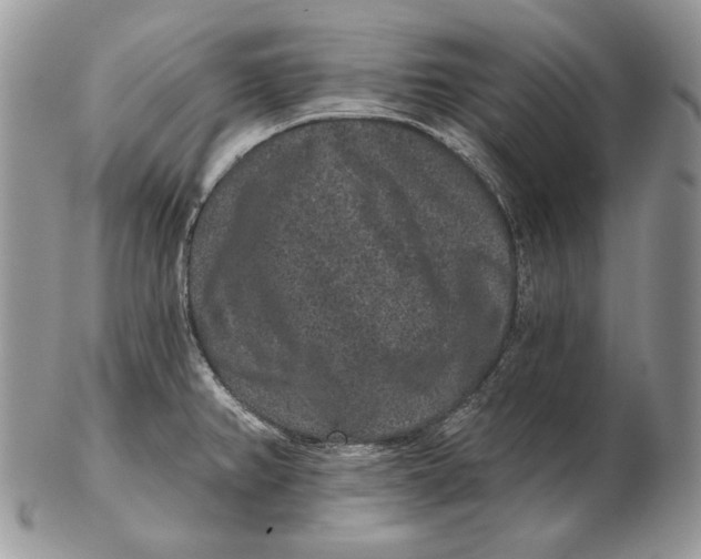 X0000102401382200808221838