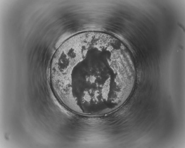 X0000102401383200808221838