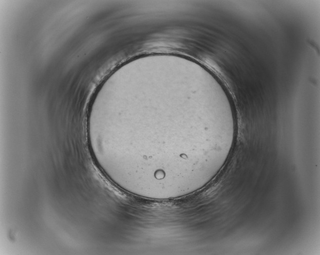 X0000102401384200808221838