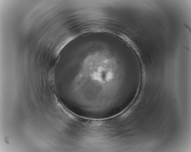 X0000102401385200808221838