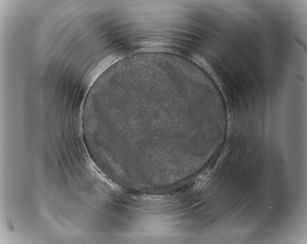 X0000102401386200808221838