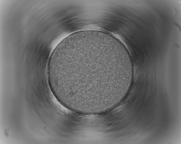 X0000102401387200808221838