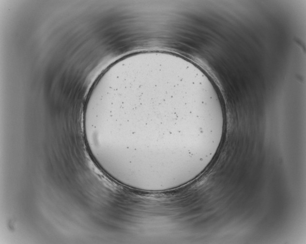 X0000102401388200808221838