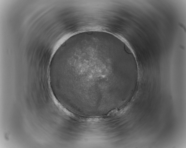 X0000102401389200808221838