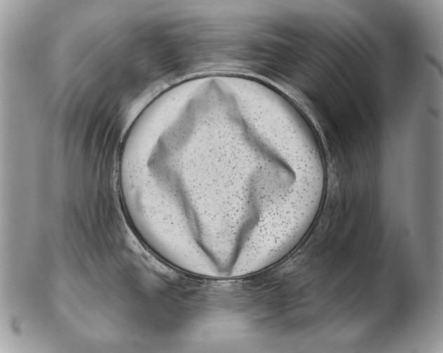 X0000102401390200808221838