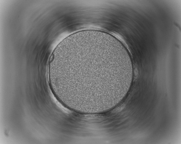 X0000102401391200808221838