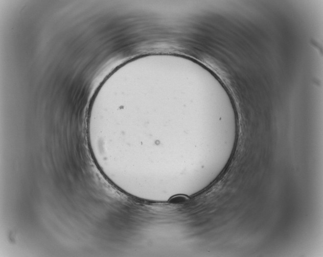 X0000102401392200808221838