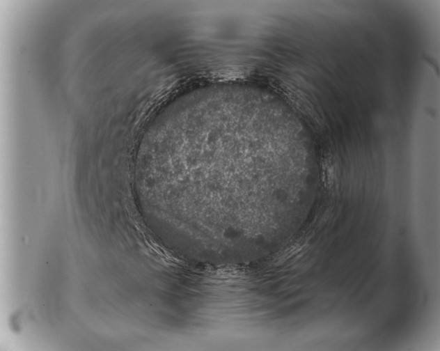 X0000102401393200808221837