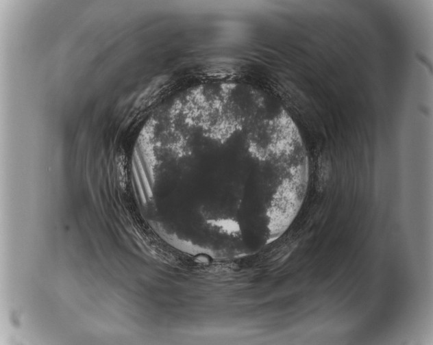 X0000102401394200808221837