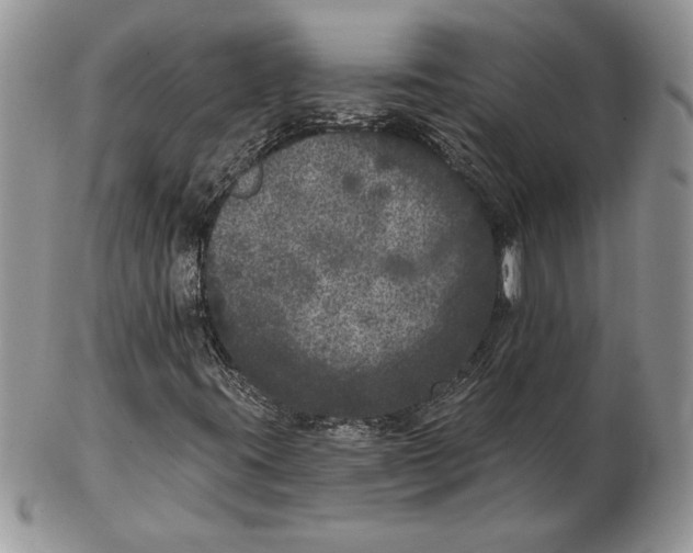 X0000102401395200808221837