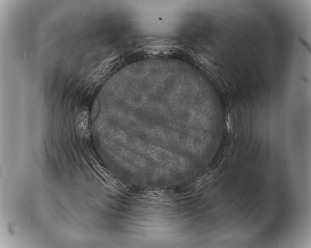 X0000102401396200808221837