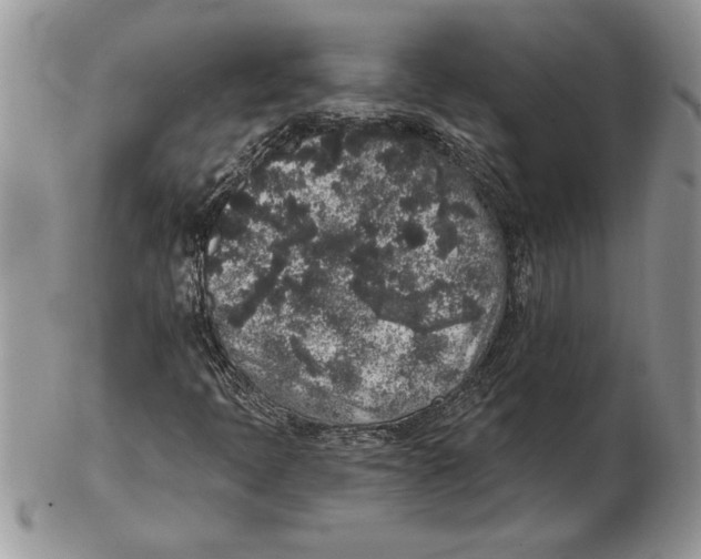 X0000102401397200808221837