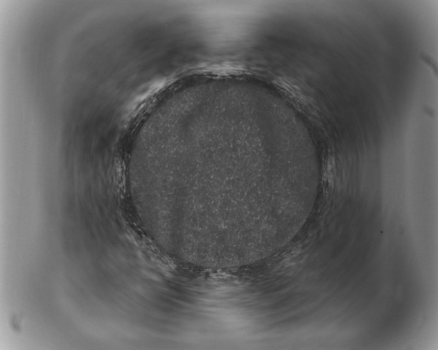 X0000102401398200808221837