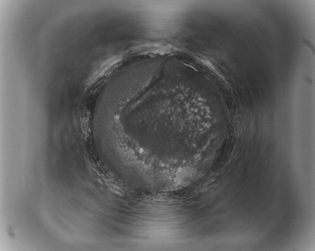 X0000102401399200808221837