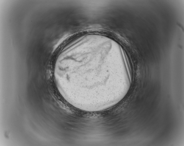 X0000102401400200808221837