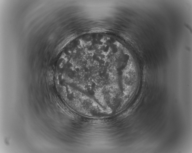 X0000102401401200808221837