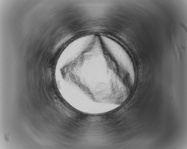 X0000102401402200808221837