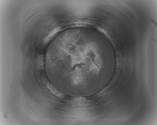 X0000102401403200808221837