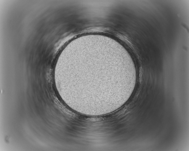 X0000102401404200808221837