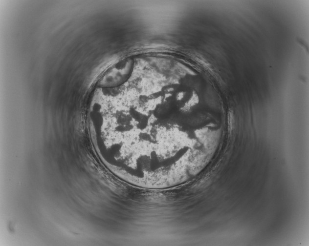 X0000102401405200808221837