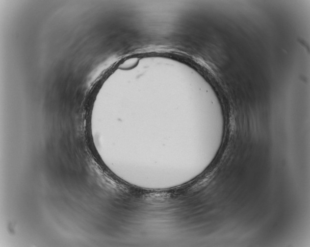 X0000102401406200808221837