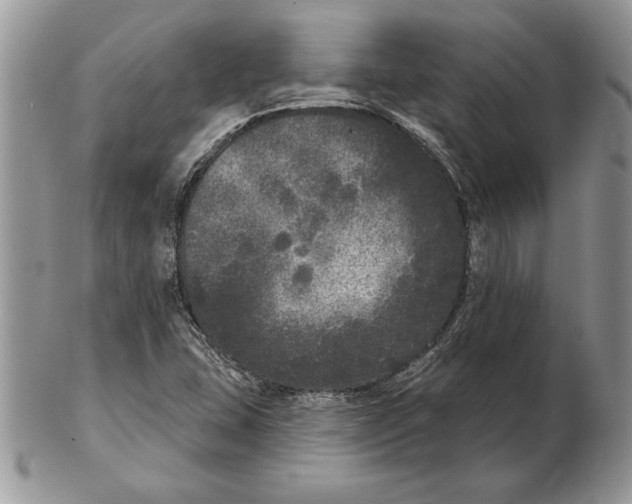 X0000102401407200808221837