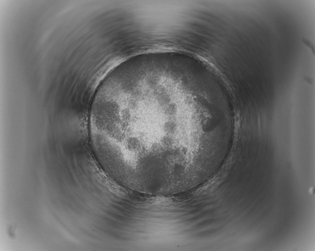 X0000102401409200808221837