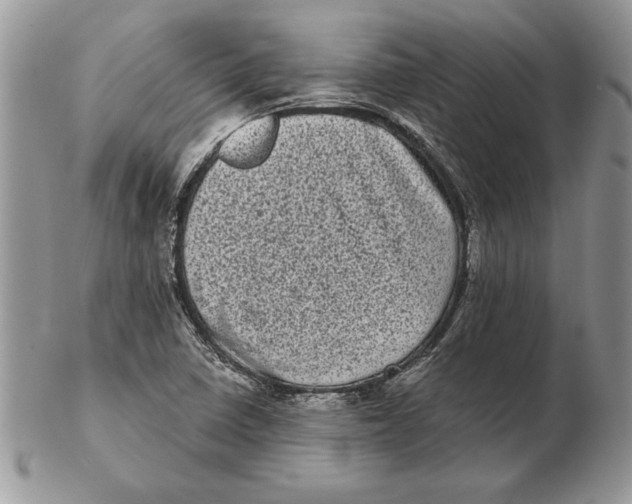 X0000102401410200808221837