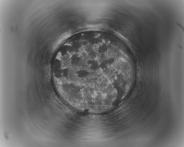 X0000102401411200808221837