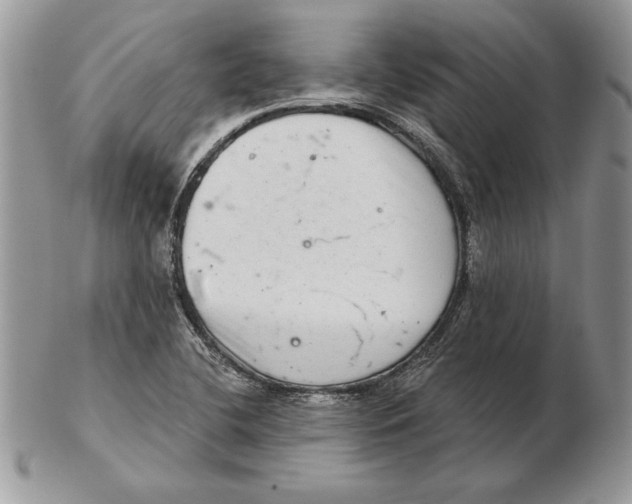 X0000102401412200808221837