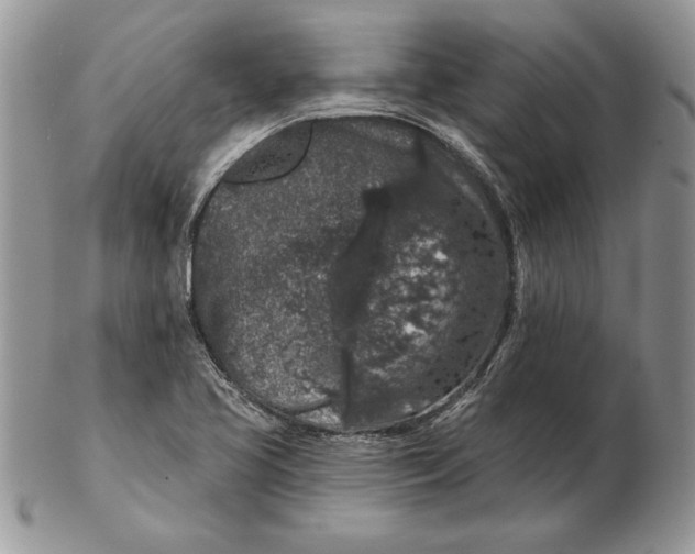 X0000102401413200808221837