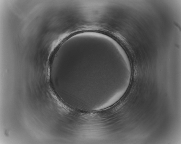 X0000102401414200808221837