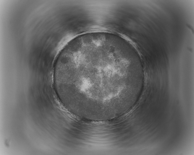 X0000102401415200808221837