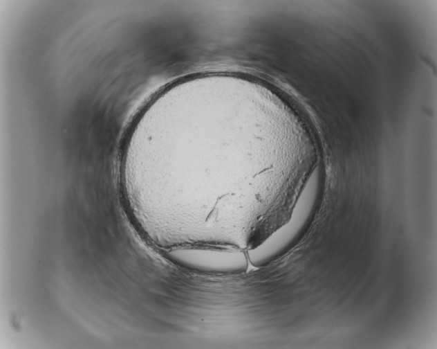 X0000102401416200808221837