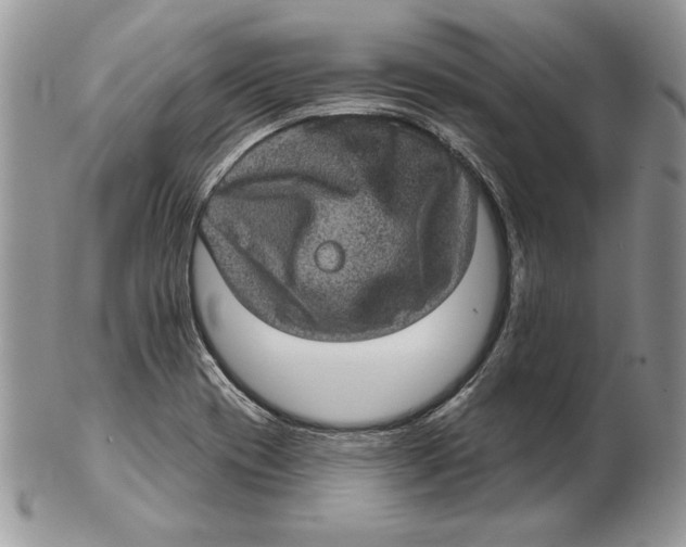 X0000102401417200808221837