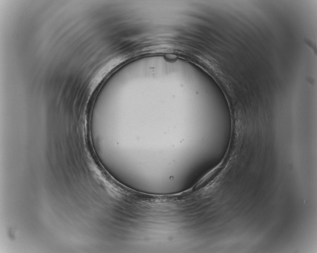 X0000102401418200808221837