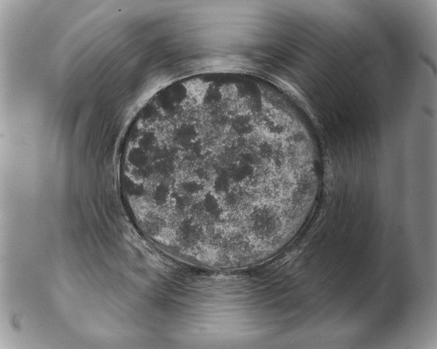 X0000102401419200808221837