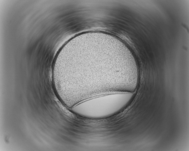 X0000102401420200808221837