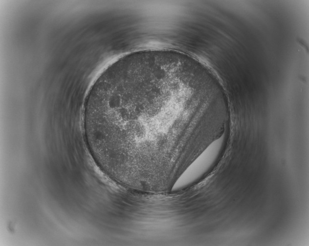 X0000102401421200808221837