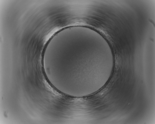 X0000102401422200808221837