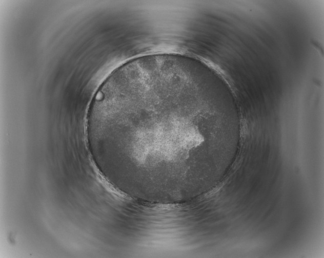 X0000102401423200808221837