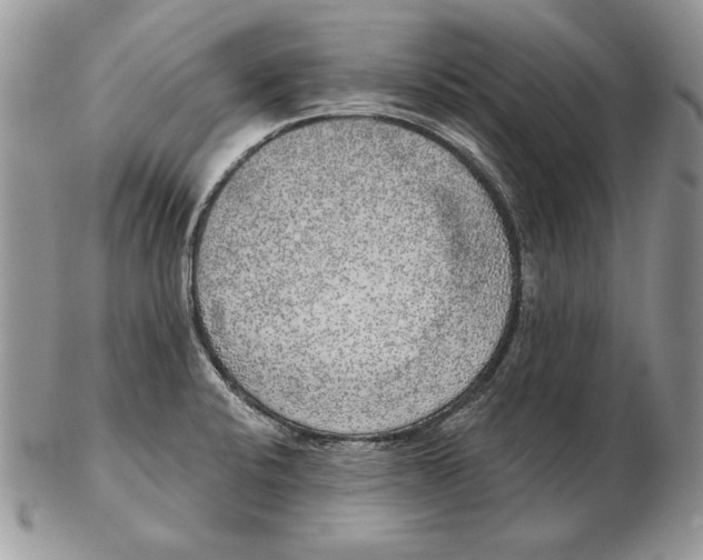 X0000102401424200808221837