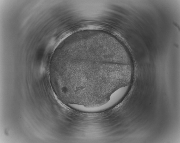 X0000102401425200808221837