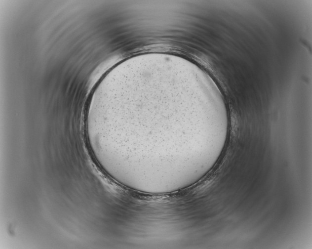 X0000102401426200808221837