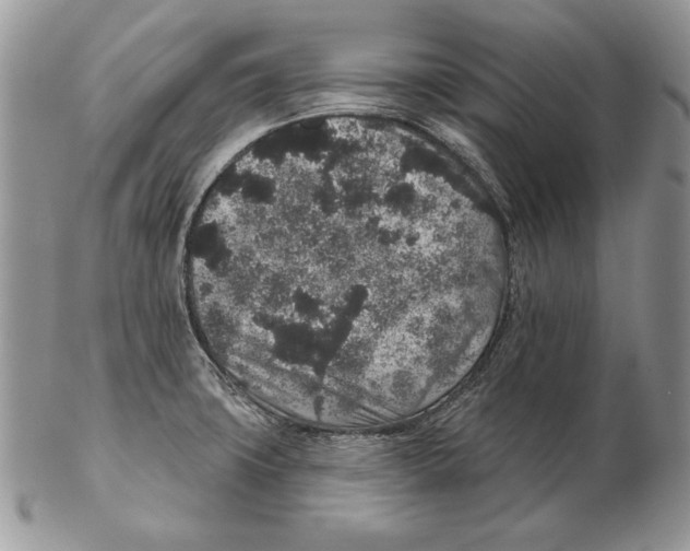 X0000102401427200808221837